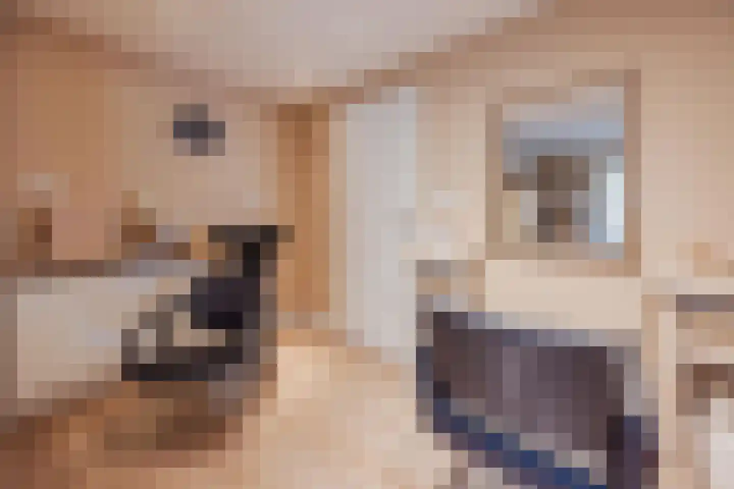 Julianalaan 51 Raamsdonksveer thumbnail 30