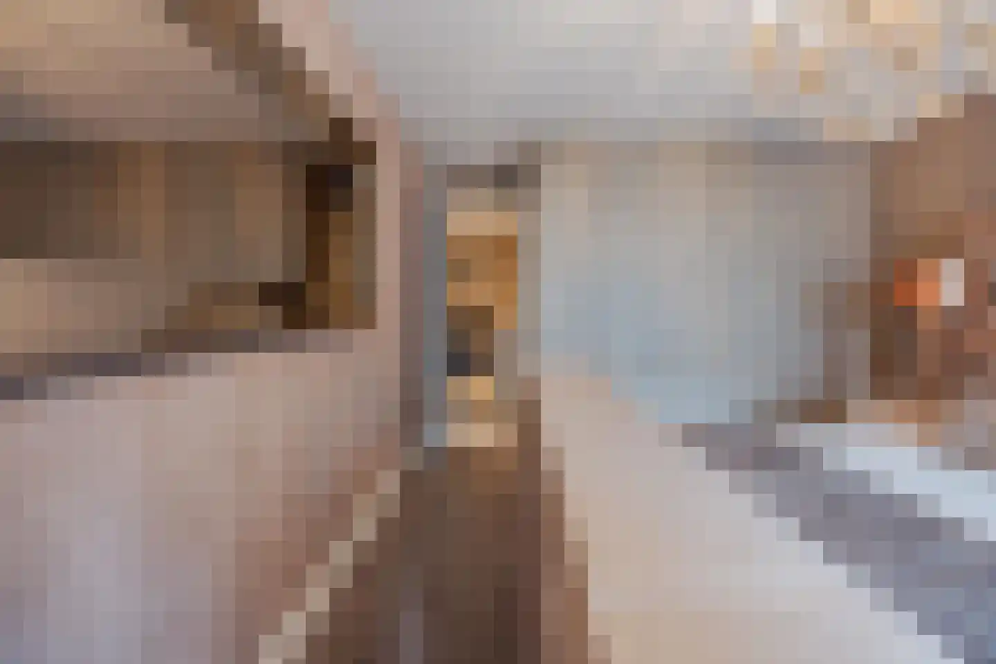 Julianalaan 51 Raamsdonksveer thumbnail 32
