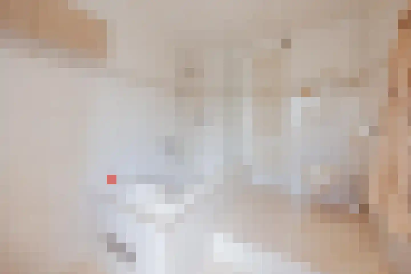Julianalaan 51 Raamsdonksveer thumbnail 33