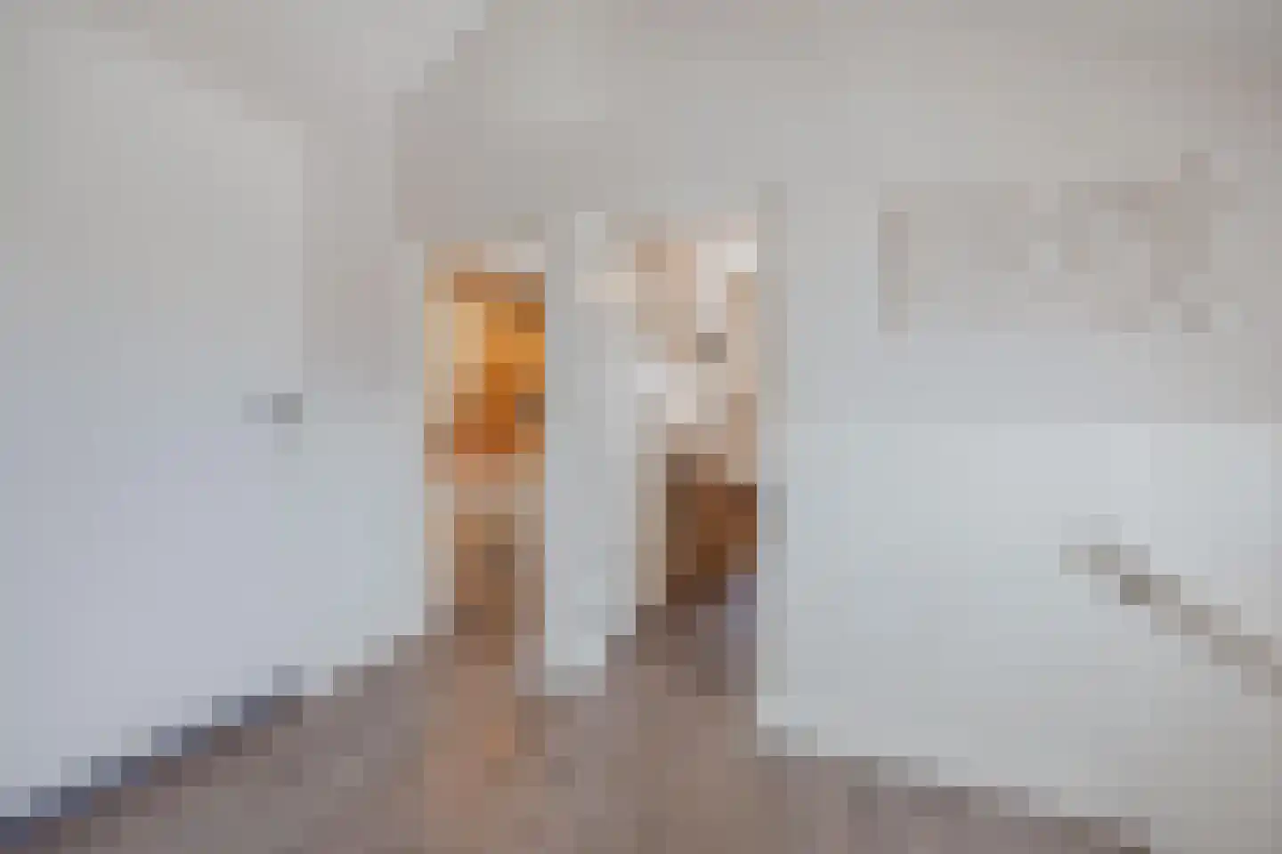 Julianalaan 51 Raamsdonksveer thumbnail 39