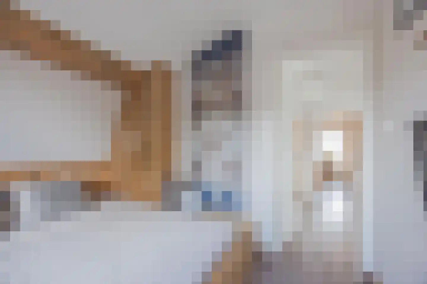 Julianalaan 51 Raamsdonksveer thumbnail 42