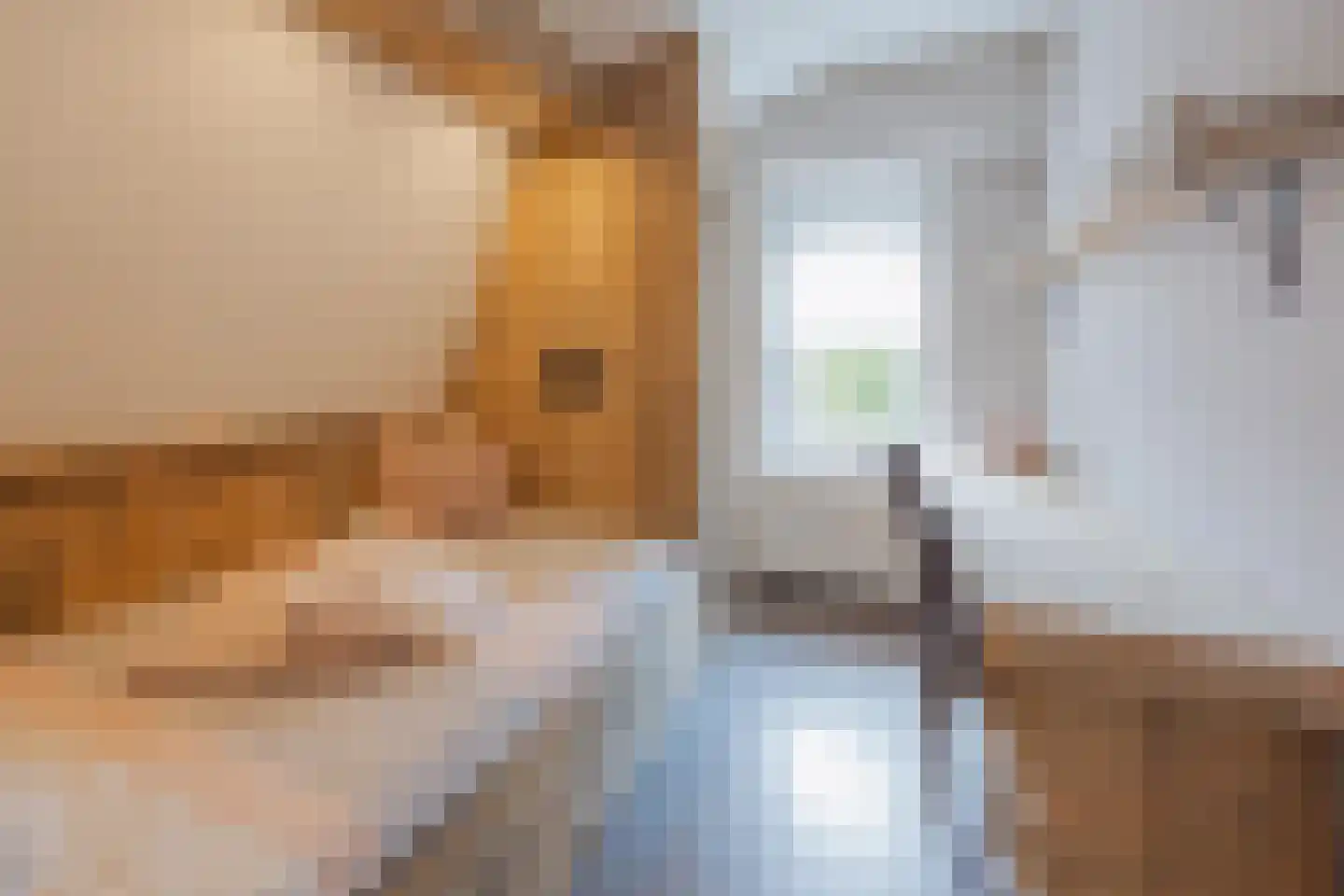 Julianalaan 51 Raamsdonksveer thumbnail 46
