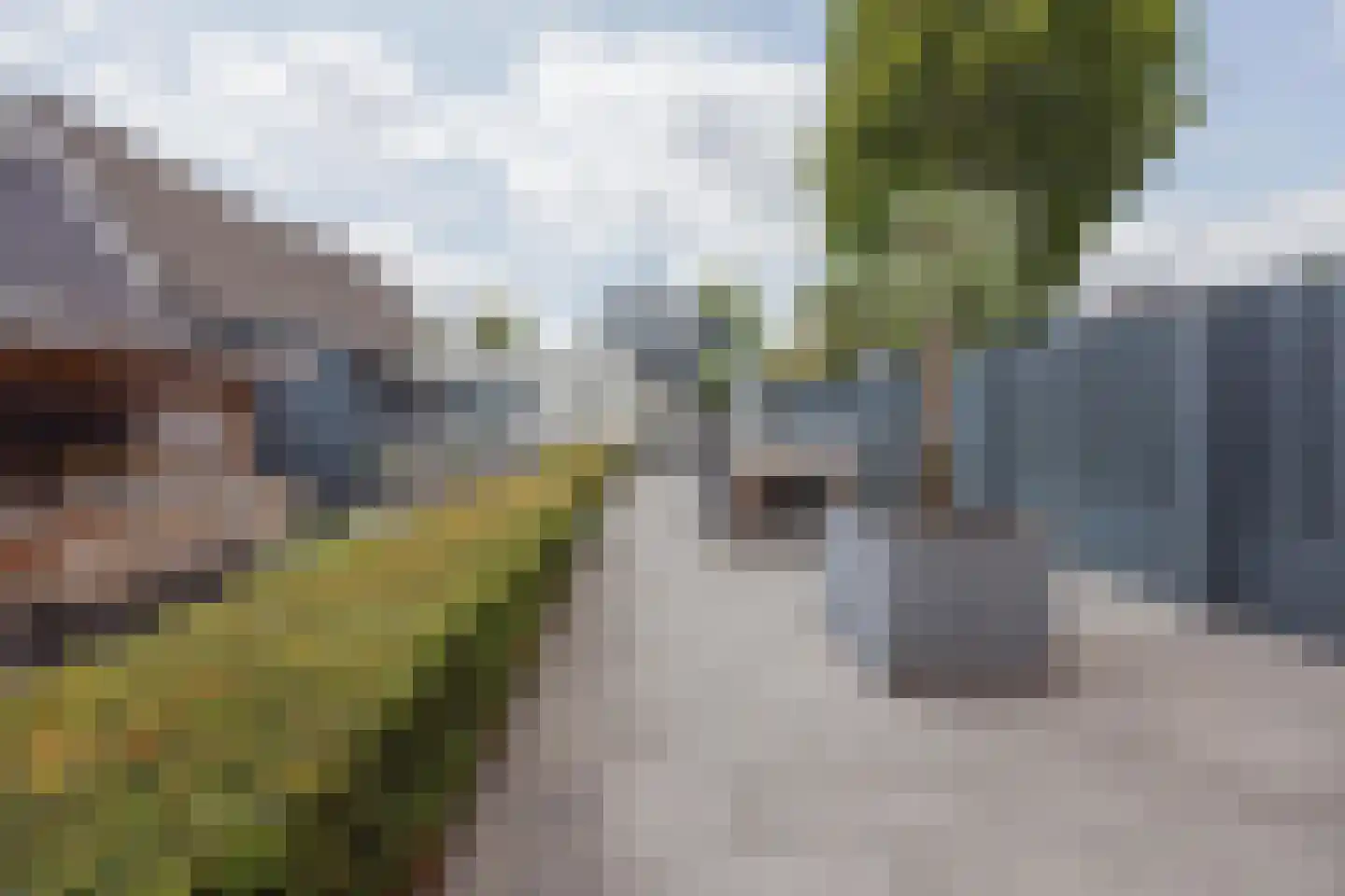 Julianalaan 51 Raamsdonksveer thumbnail 5