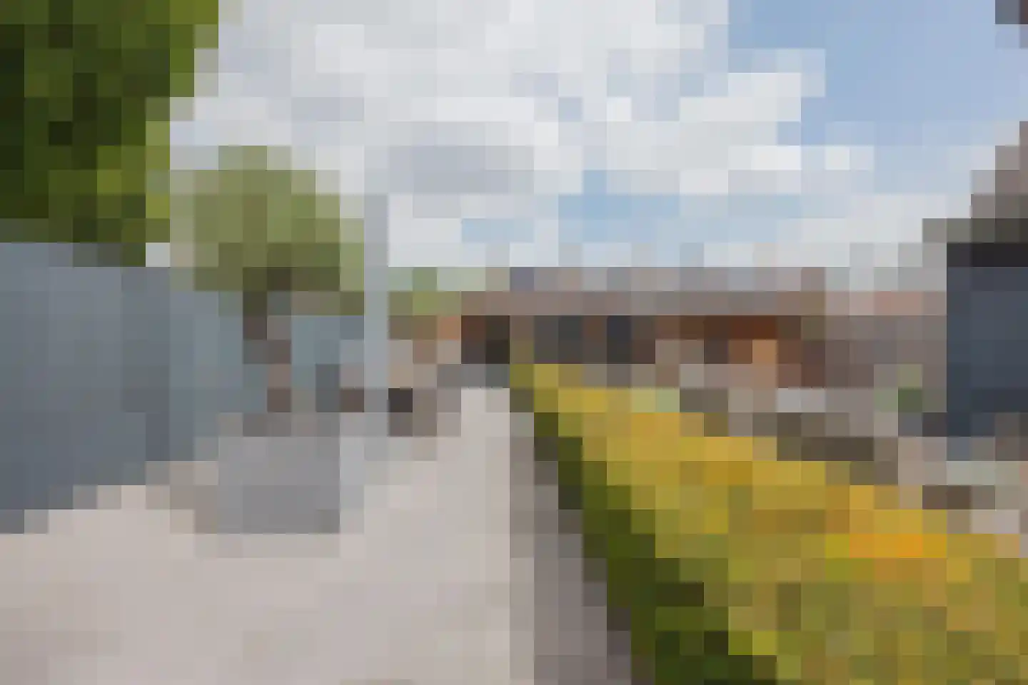 Julianalaan 51 Raamsdonksveer thumbnail 52