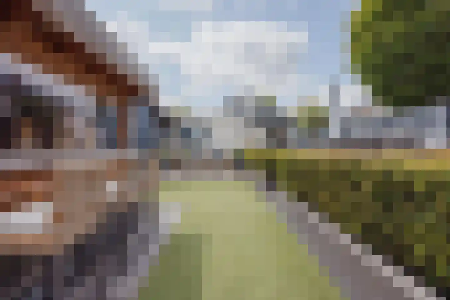 Julianalaan 51 Raamsdonksveer thumbnail 56