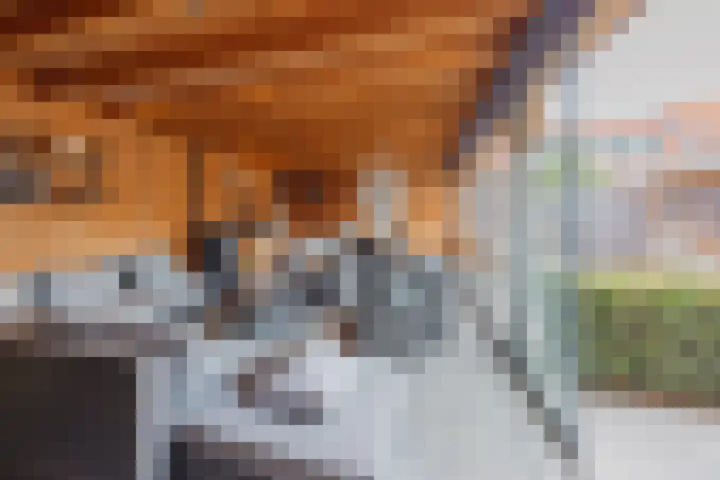 Julianalaan 51 Raamsdonksveer thumbnail 59