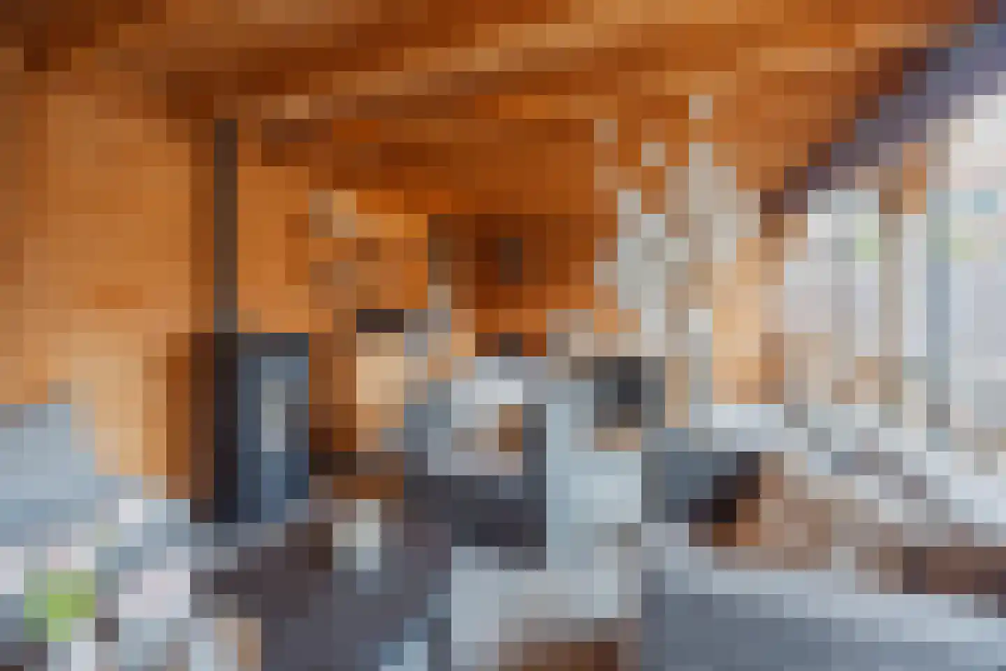 Julianalaan 51 Raamsdonksveer thumbnail 60