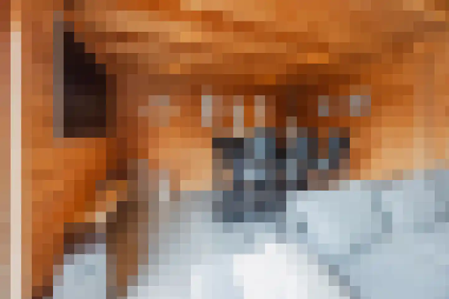 Julianalaan 51 Raamsdonksveer thumbnail 61