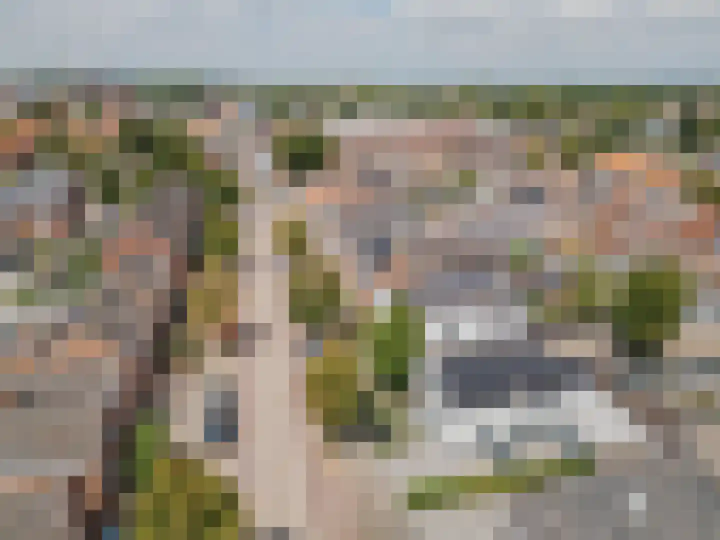 Julianalaan 51 Raamsdonksveer thumbnail 69