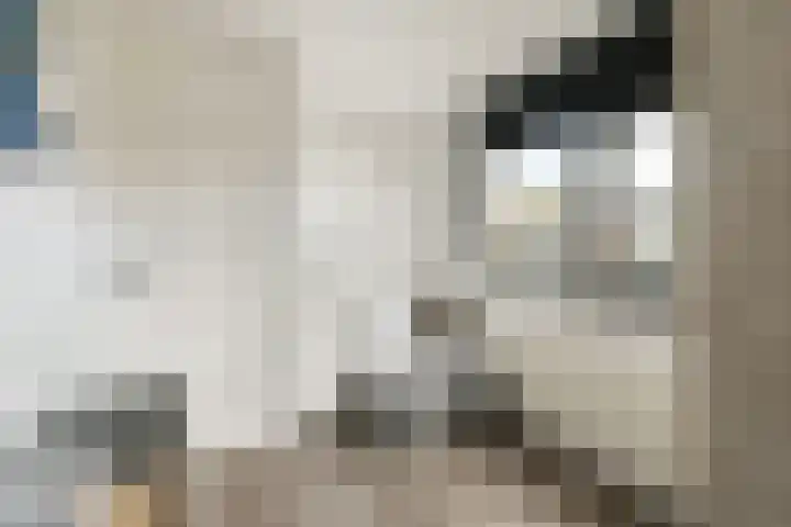 Julianalaan 53 Aalsmeer thumbnail 21