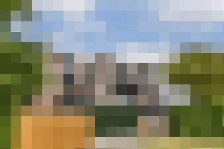 Julianalaan 53 Aalsmeer thumbnail 24