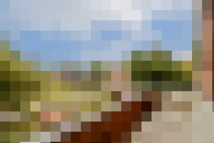 Julianalaan 53 Aalsmeer thumbnail 5