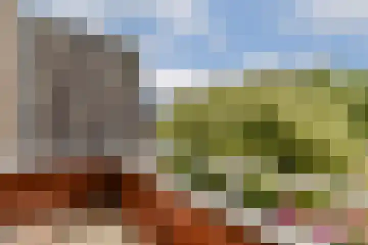 Julianalaan 53 Aalsmeer thumbnail 7