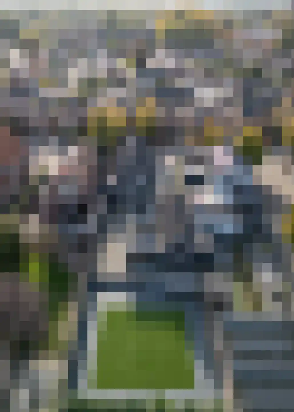 Julianalaan 53 Raamsdonksveer thumbnail 11