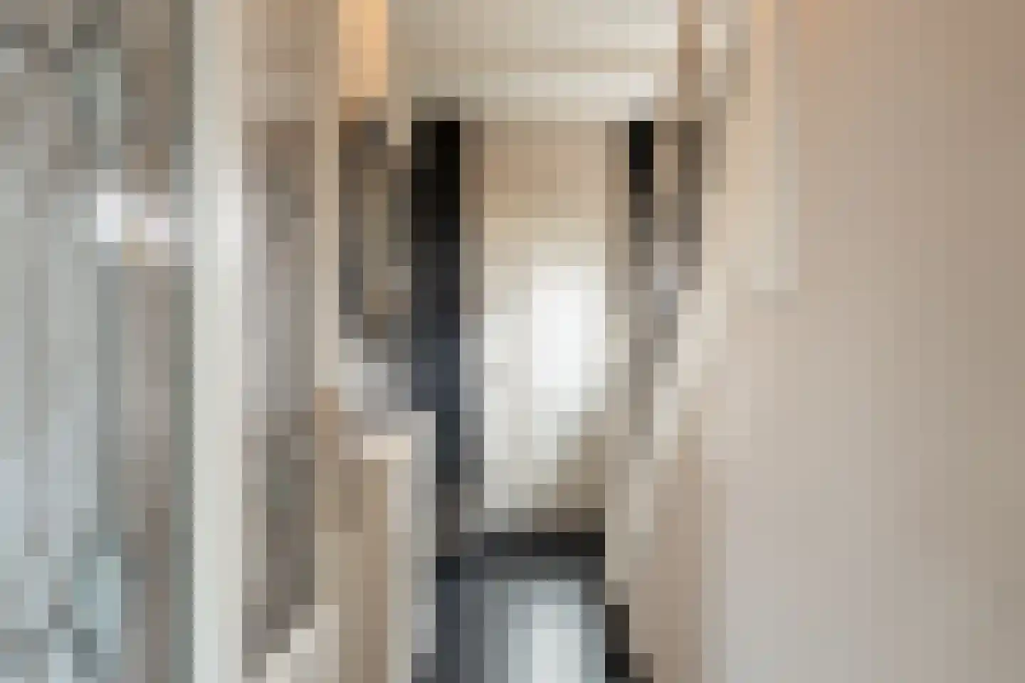 Julianalaan 53 Raamsdonksveer thumbnail 13