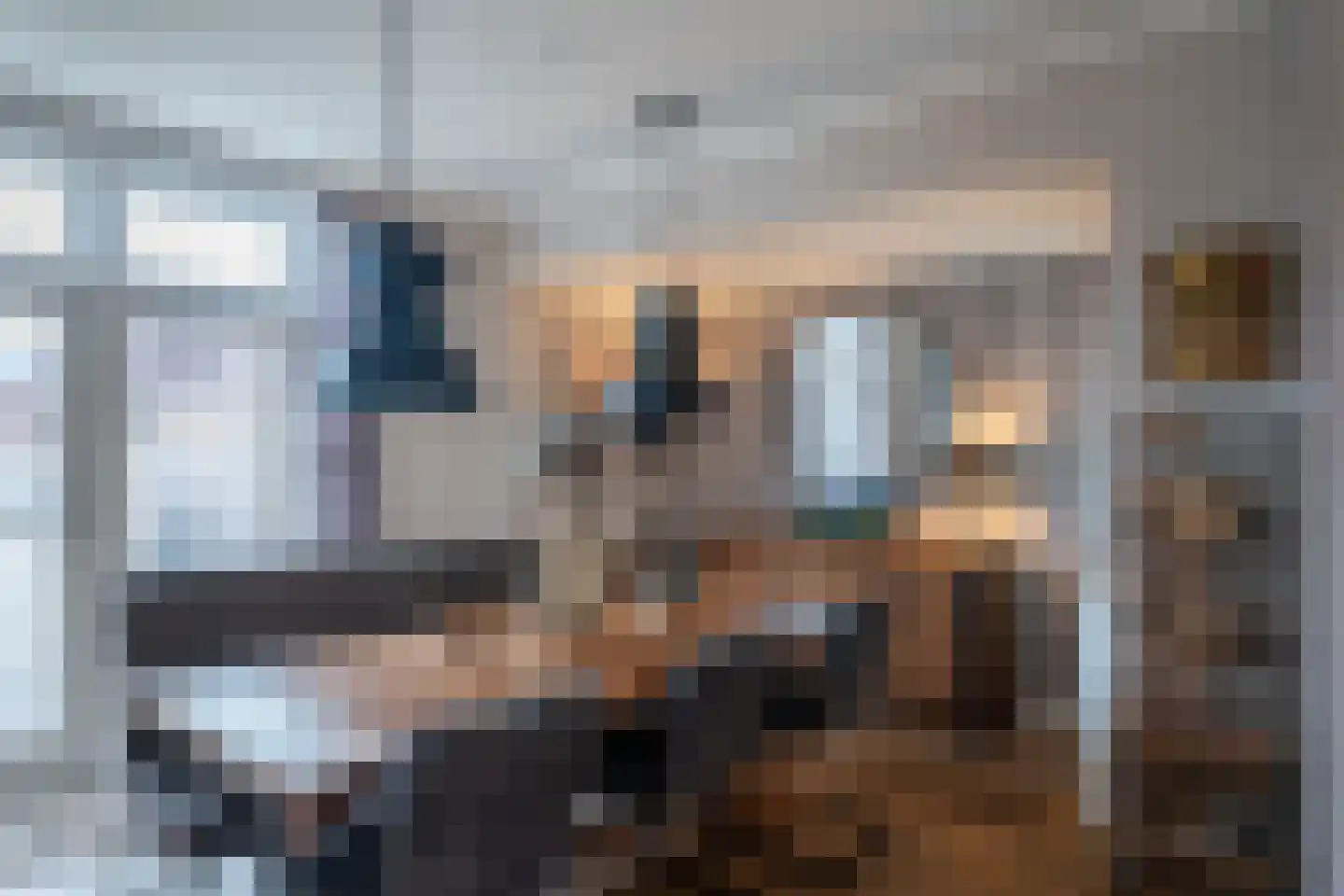 Julianalaan 53 Raamsdonksveer thumbnail 21