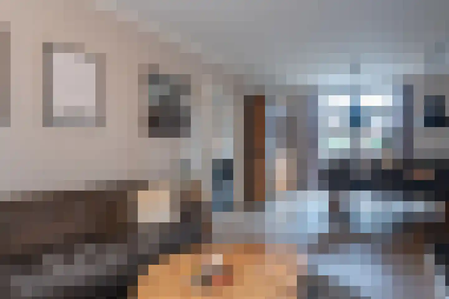 Julianalaan 53 Raamsdonksveer thumbnail 22