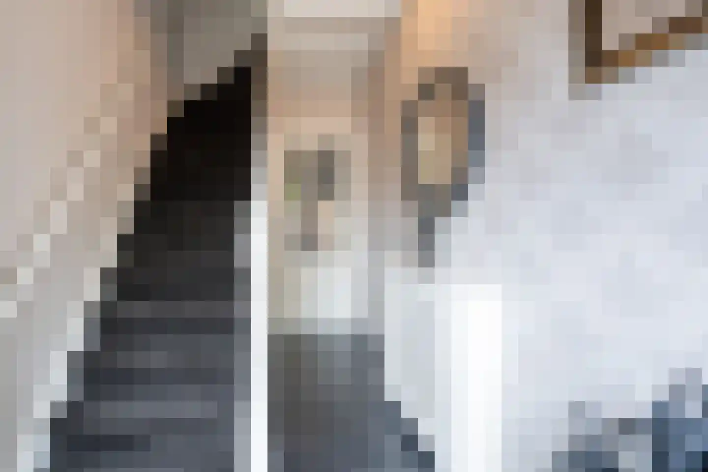 Julianalaan 53 Raamsdonksveer thumbnail 25