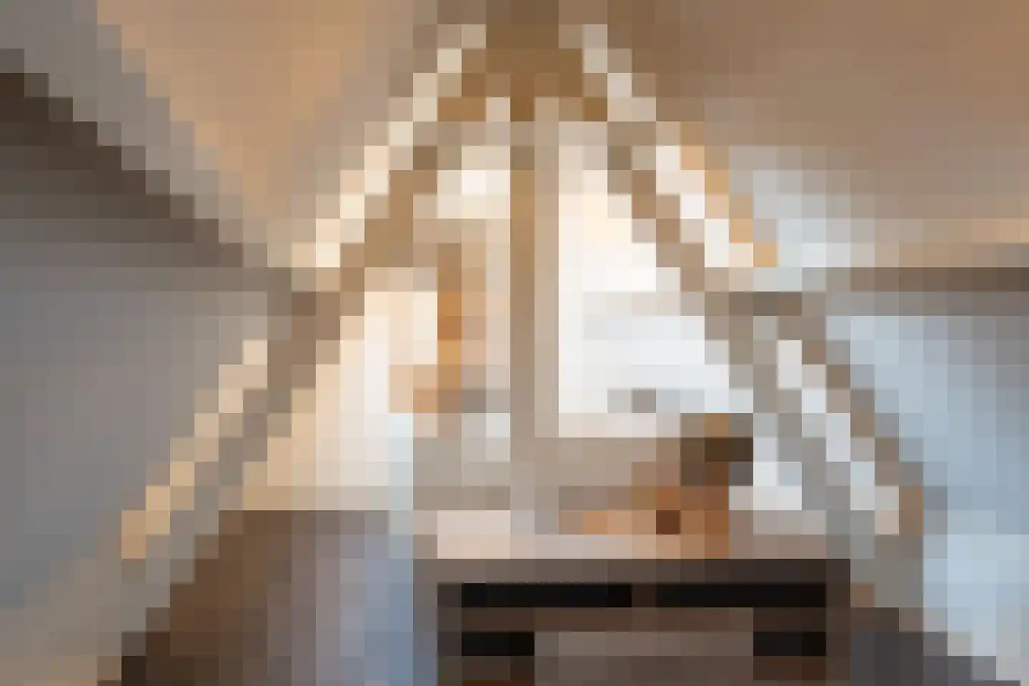 Julianalaan 53 Raamsdonksveer thumbnail 36