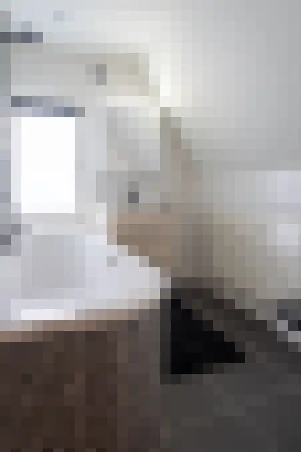 Julianalaan 53 Raamsdonksveer thumbnail 7