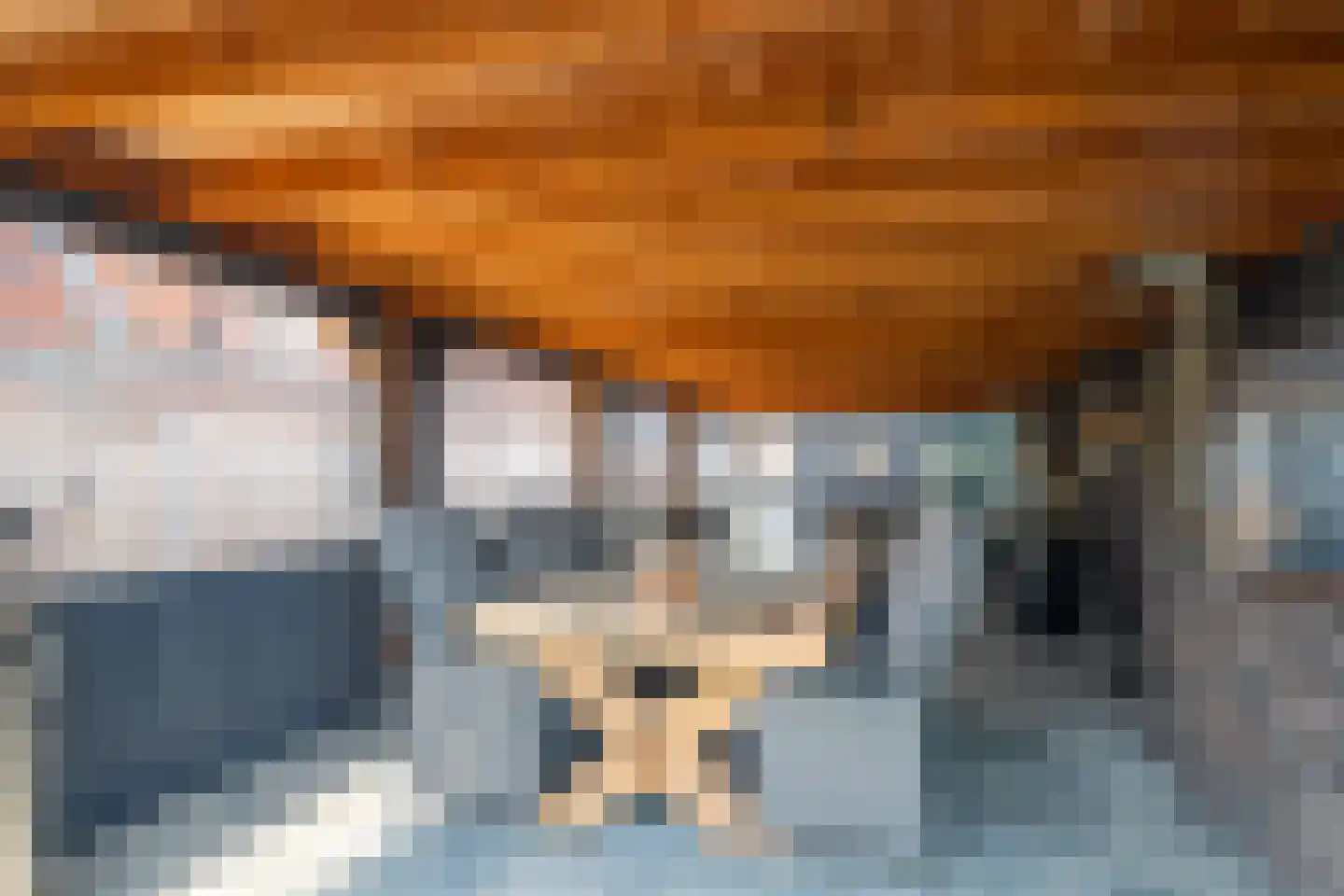 Julianalaan 53 Raamsdonksveer thumbnail 8