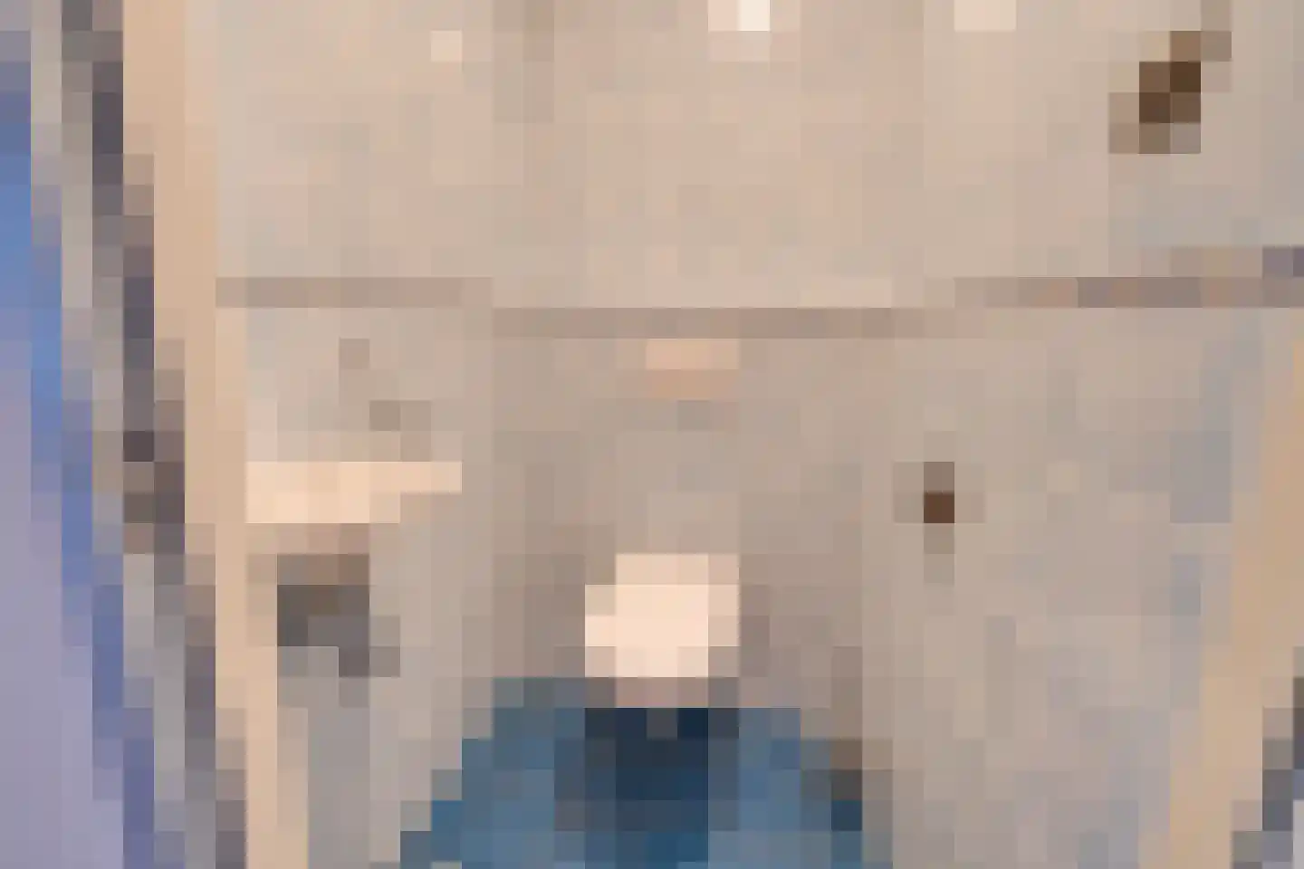 Julianalaan 54 De Rijp thumbnail 20