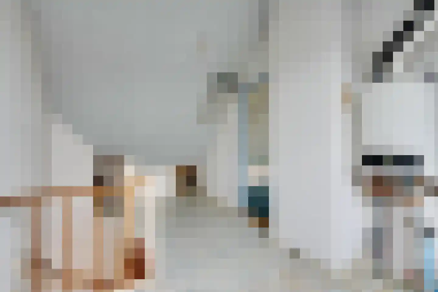 Julianalaan 54 De Rijp thumbnail 31