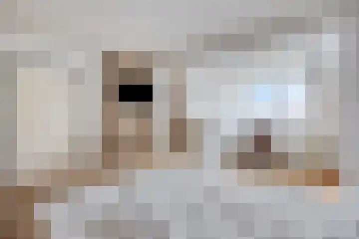 Julianalaan 54 Margraten thumbnail 20