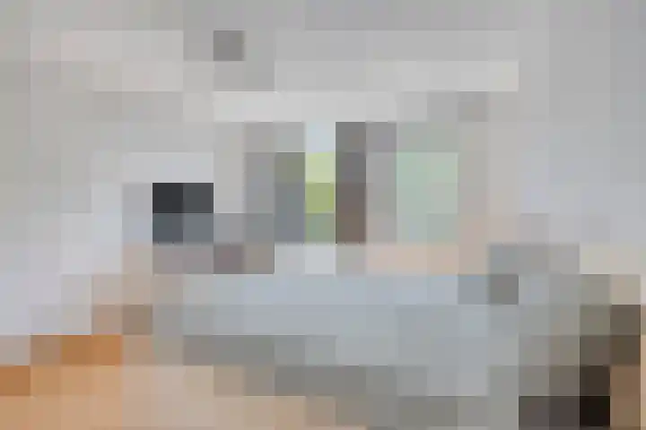 Julianalaan 54 Margraten thumbnail 22