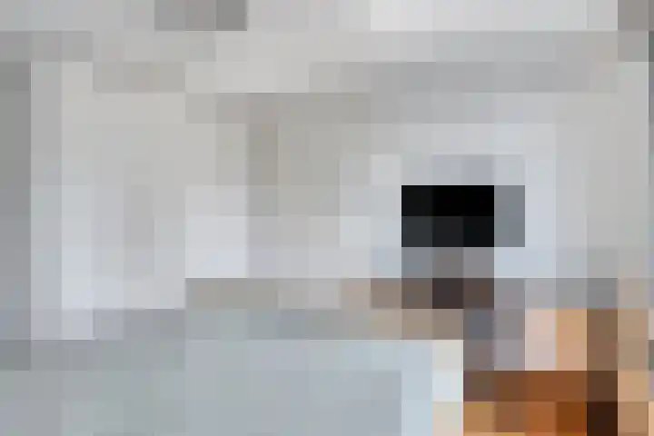 Julianalaan 54 Margraten thumbnail 23