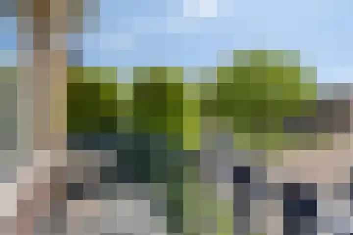 Julianalaan 54 Margraten thumbnail 24