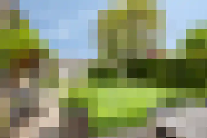 Julianalaan 54 Margraten thumbnail 35