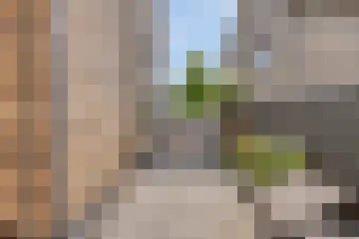 Julianalaan 54 Margraten thumbnail 38