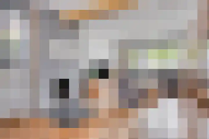 Julianalaan 54 Margraten thumbnail 7