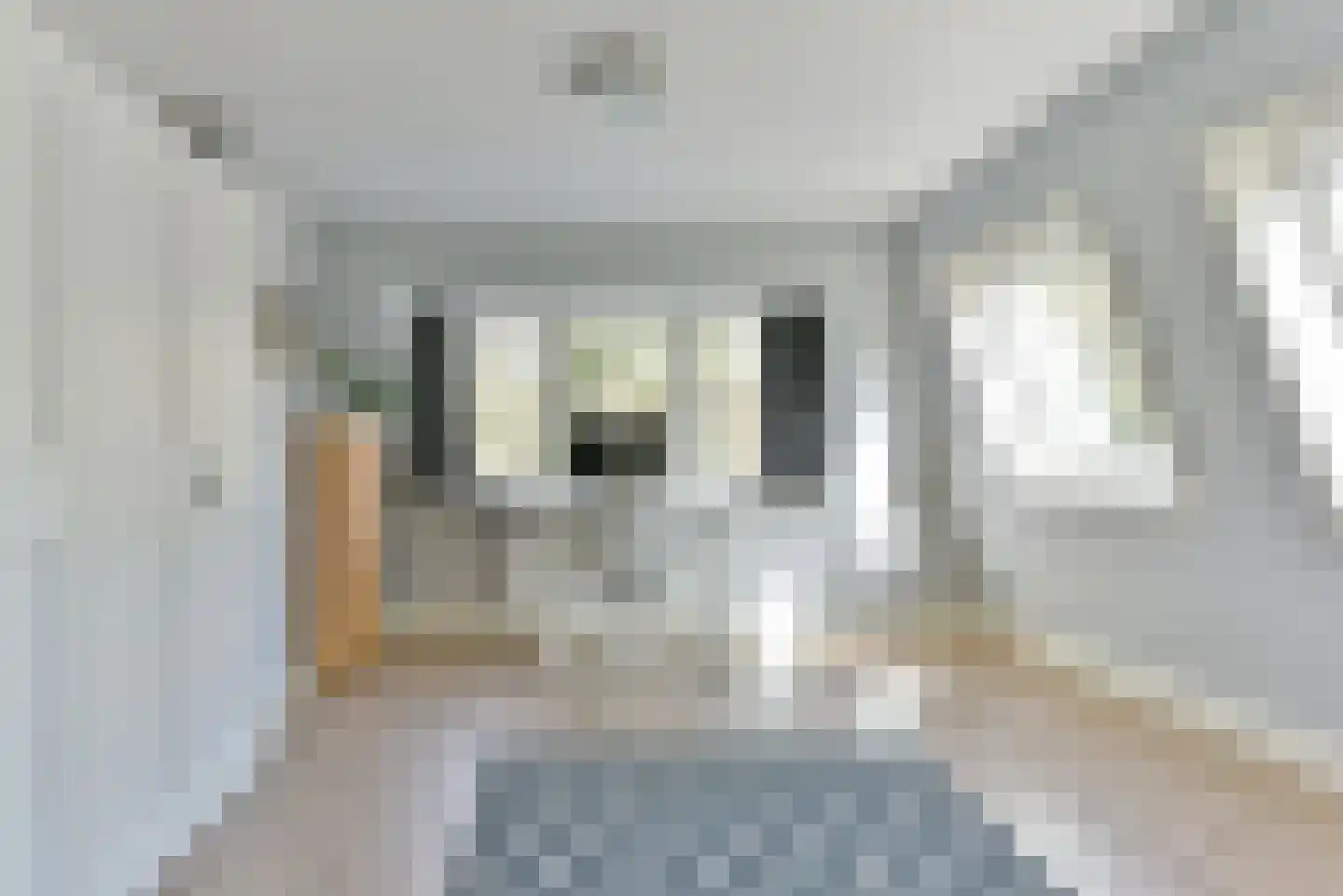 Julianalaan 55 A Zeist thumbnail 27