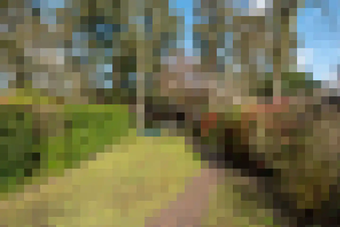 Julianalaan 55 A Zeist thumbnail 42