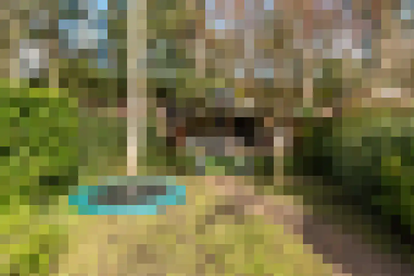 Julianalaan 55 A Zeist thumbnail 43