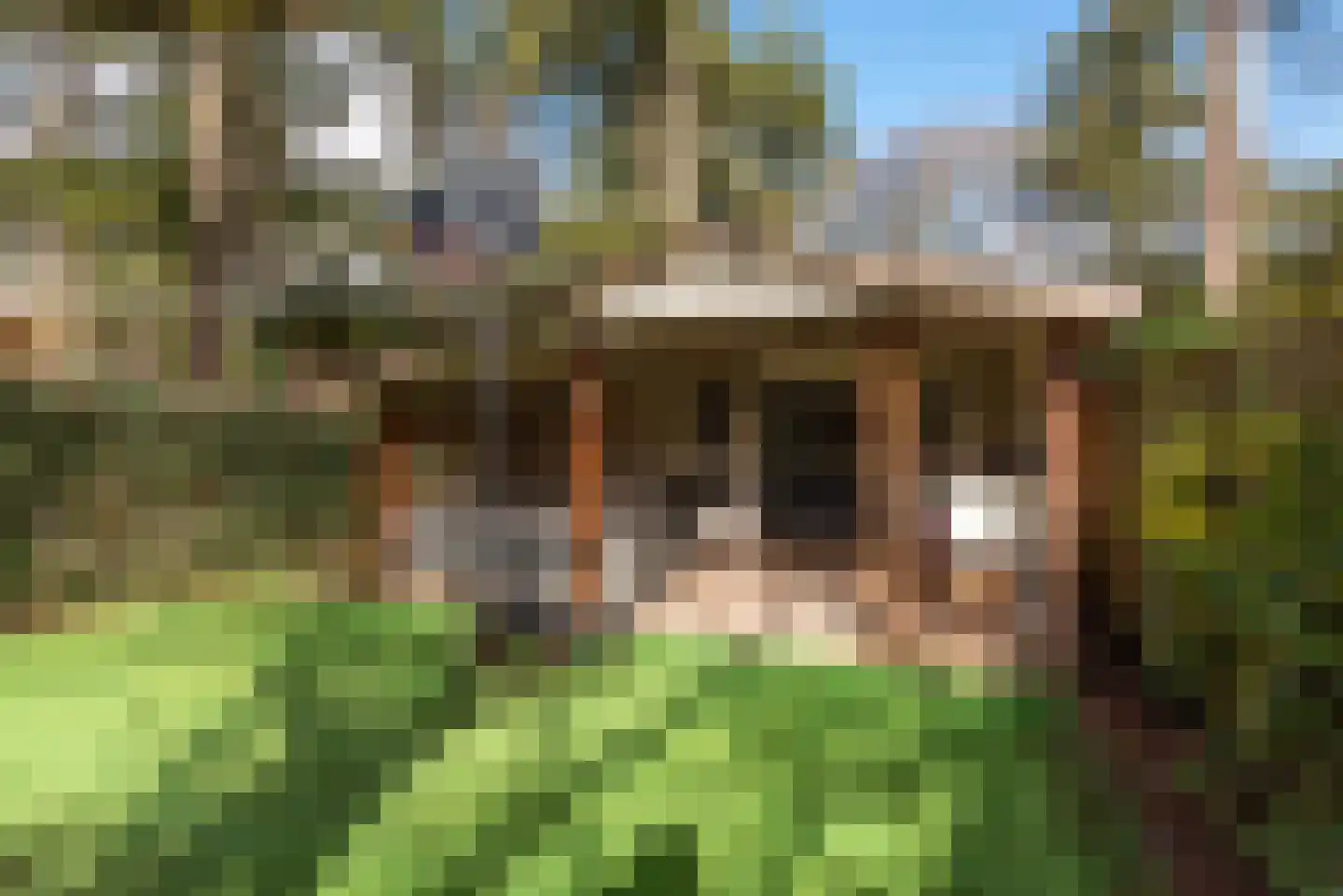 Julianalaan 55 A Zeist thumbnail 45