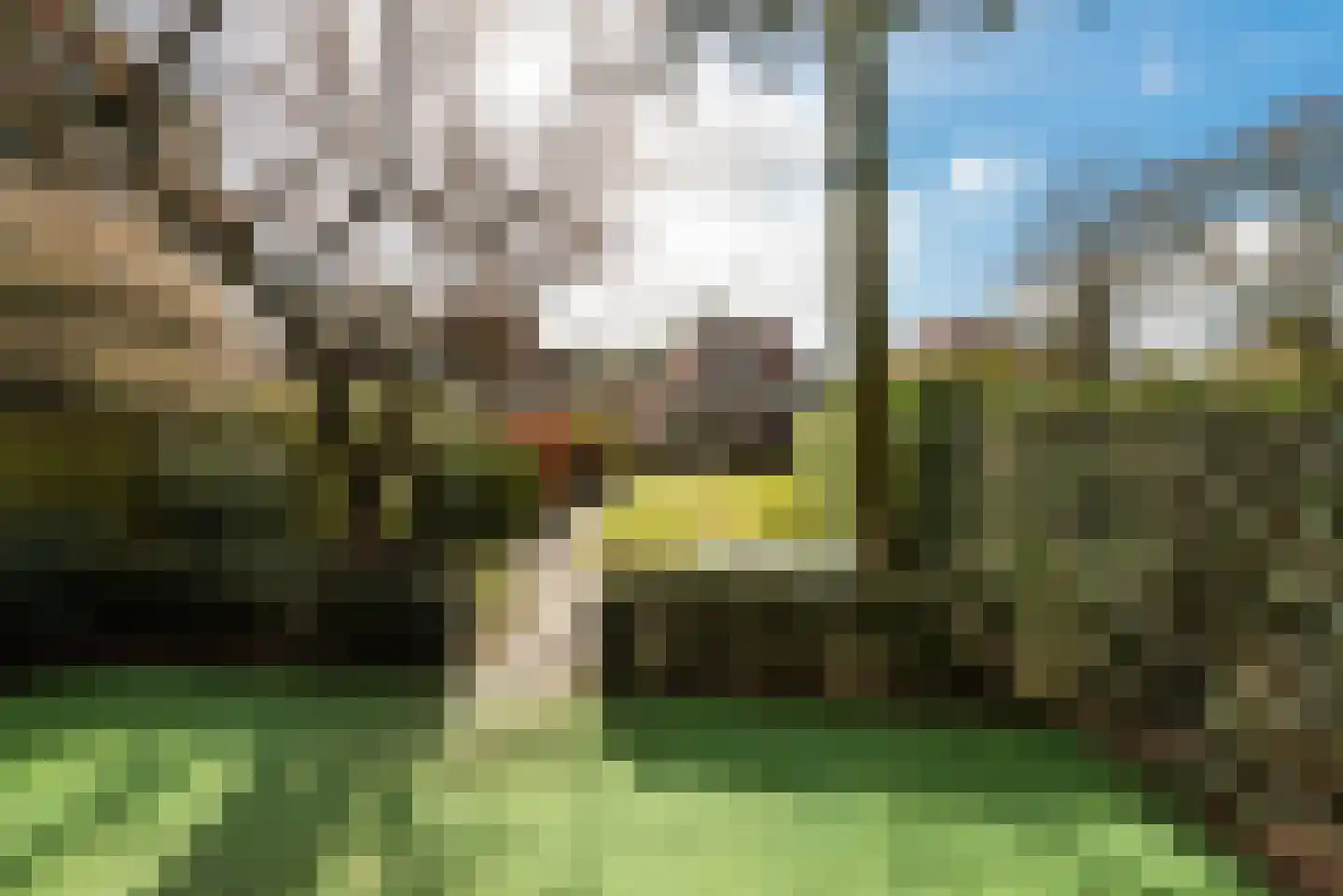 Julianalaan 55 A Zeist thumbnail 47