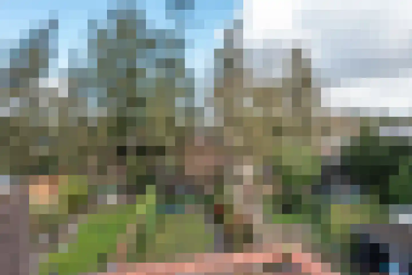 Julianalaan 55 A Zeist thumbnail 50