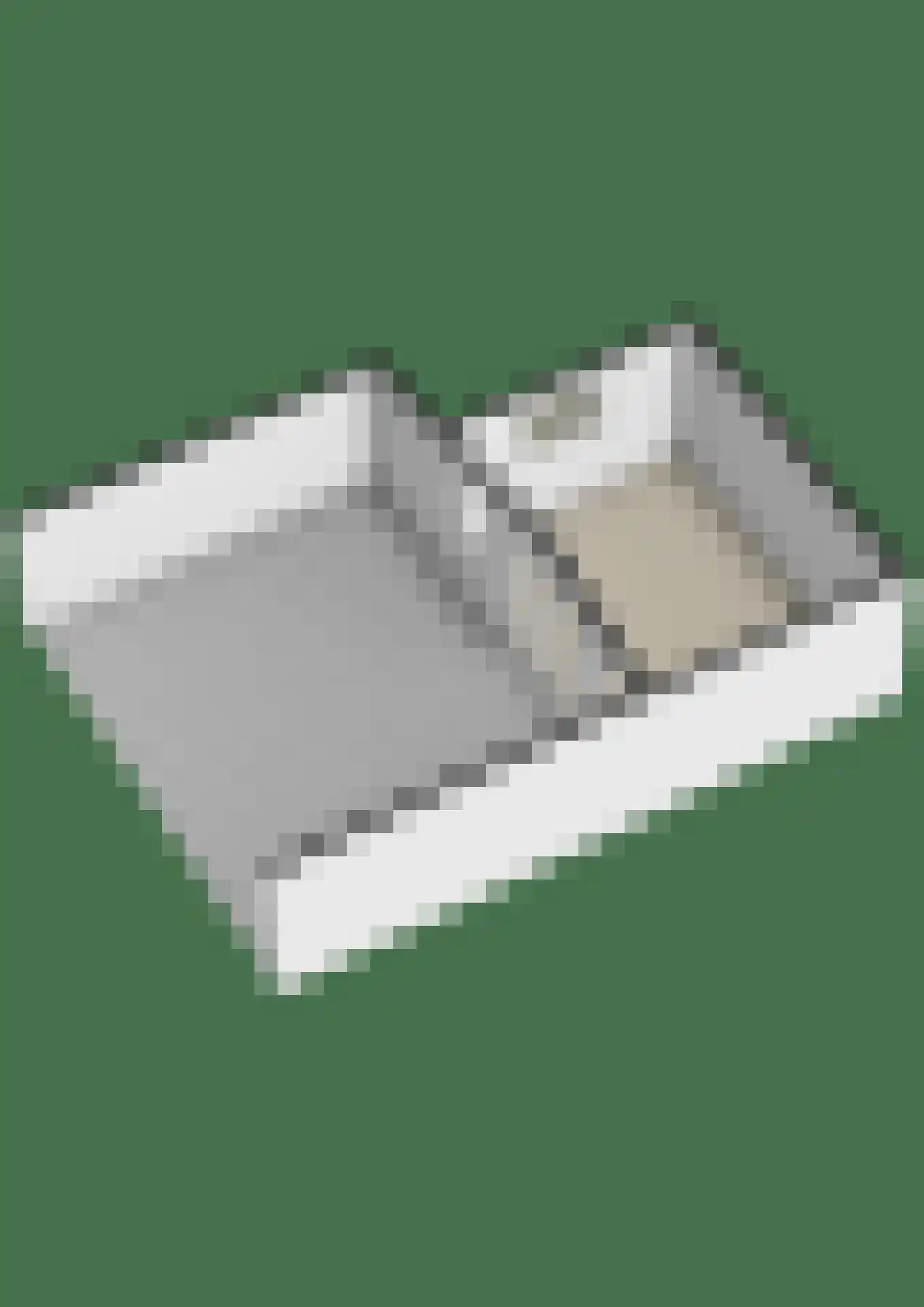 Julianalaan 55 A Zeist thumbnail 60