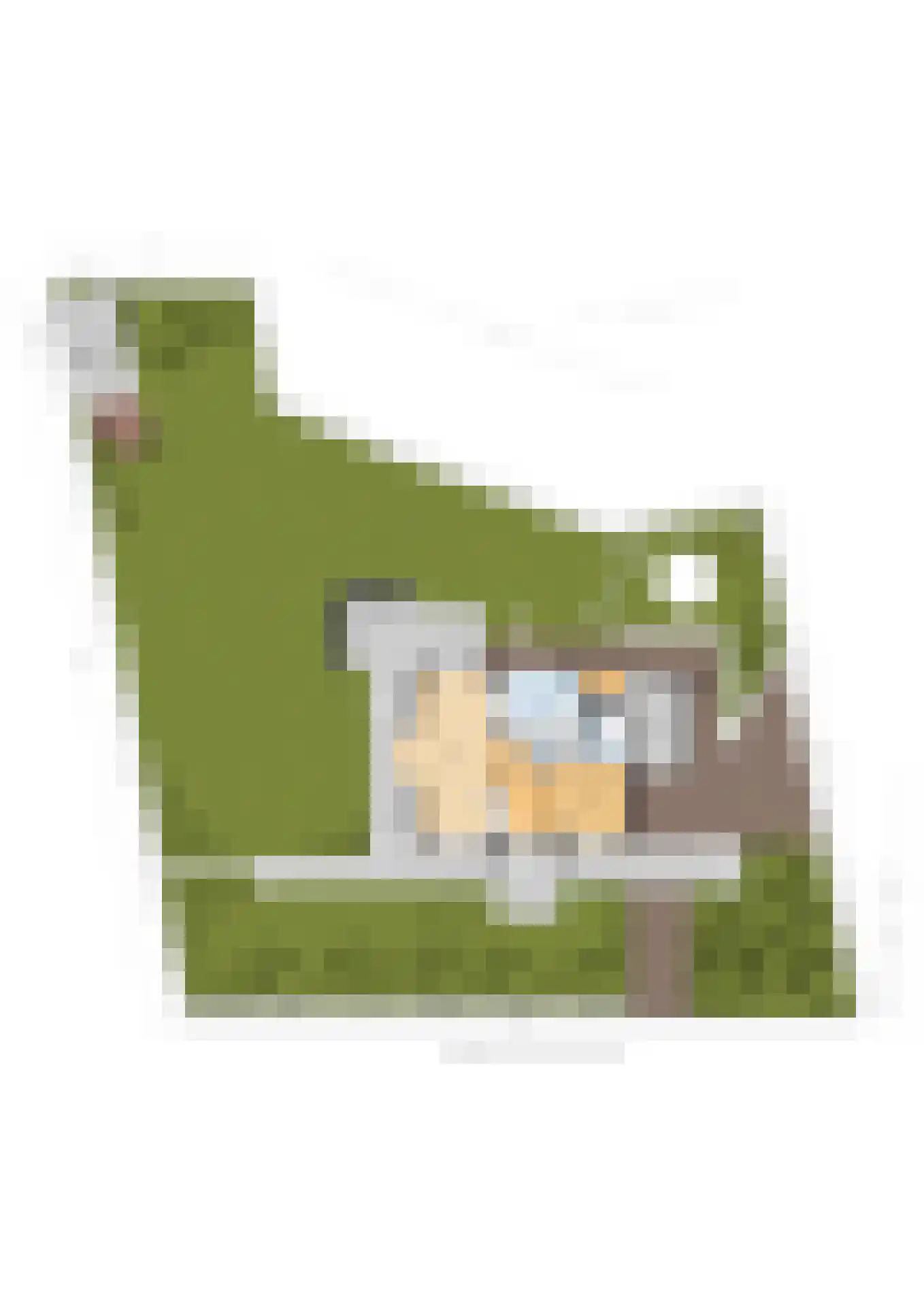 Julianalaan 55 Ermelo thumbnail 100
