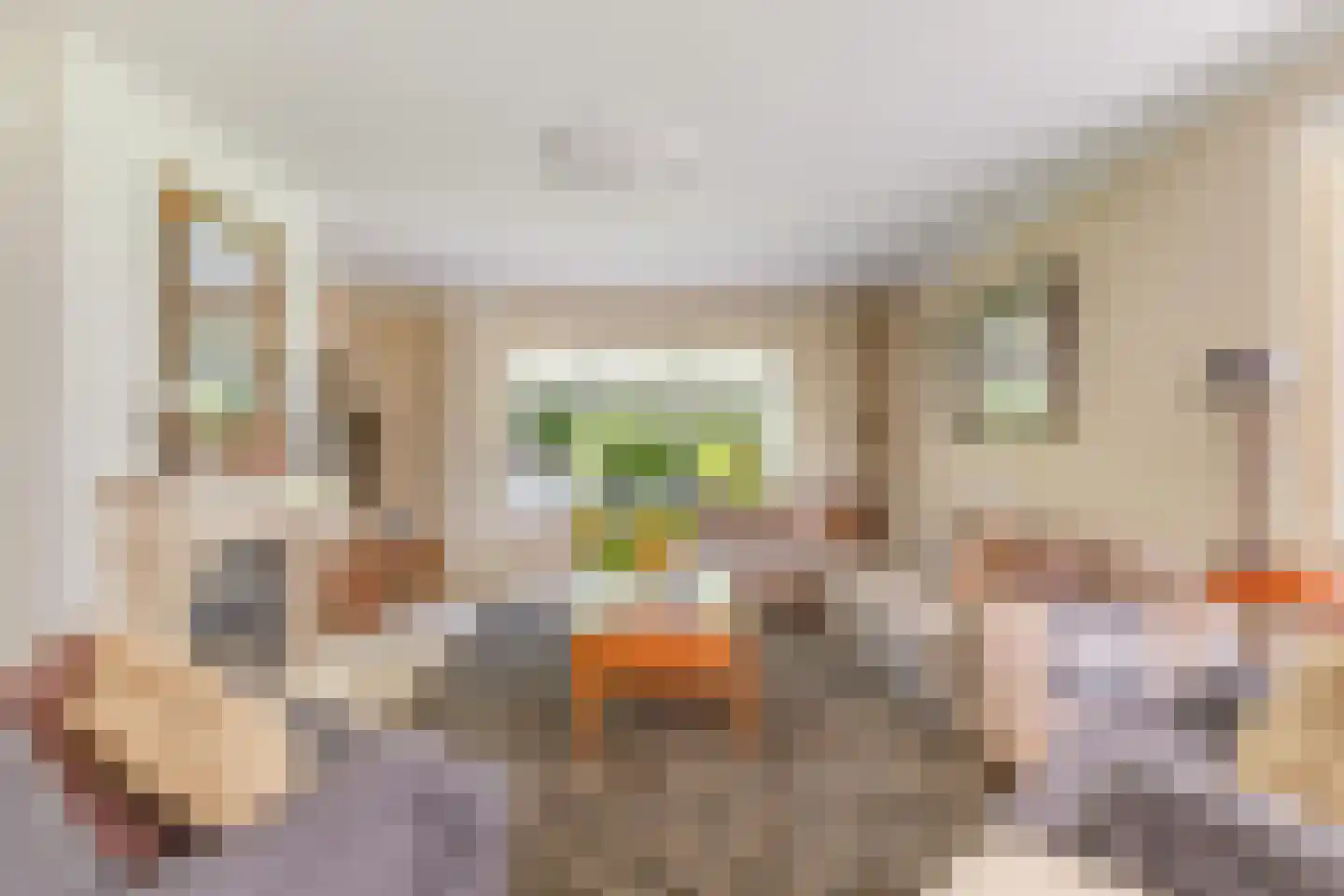 Julianalaan 55 Ermelo thumbnail 13