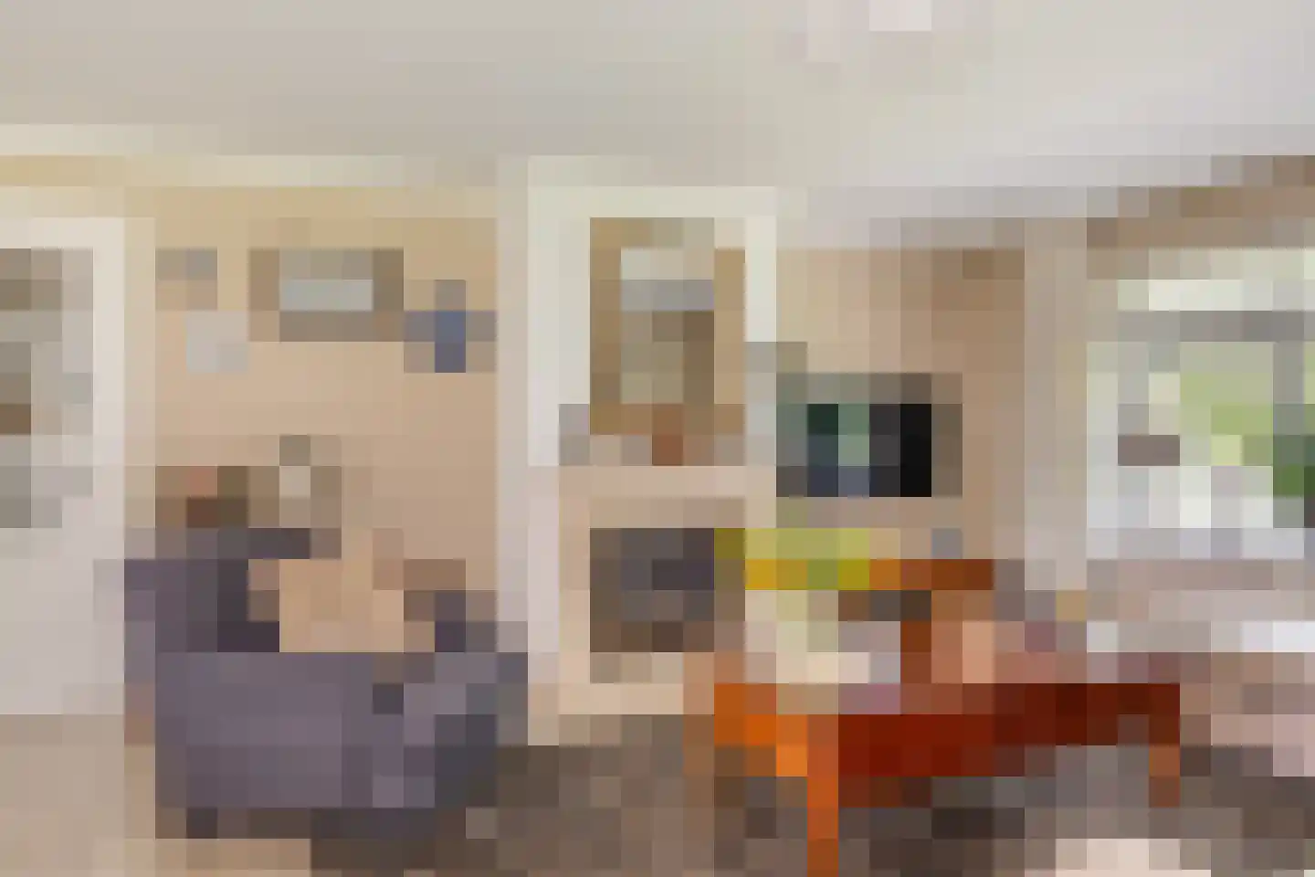 Julianalaan 55 Ermelo thumbnail 14