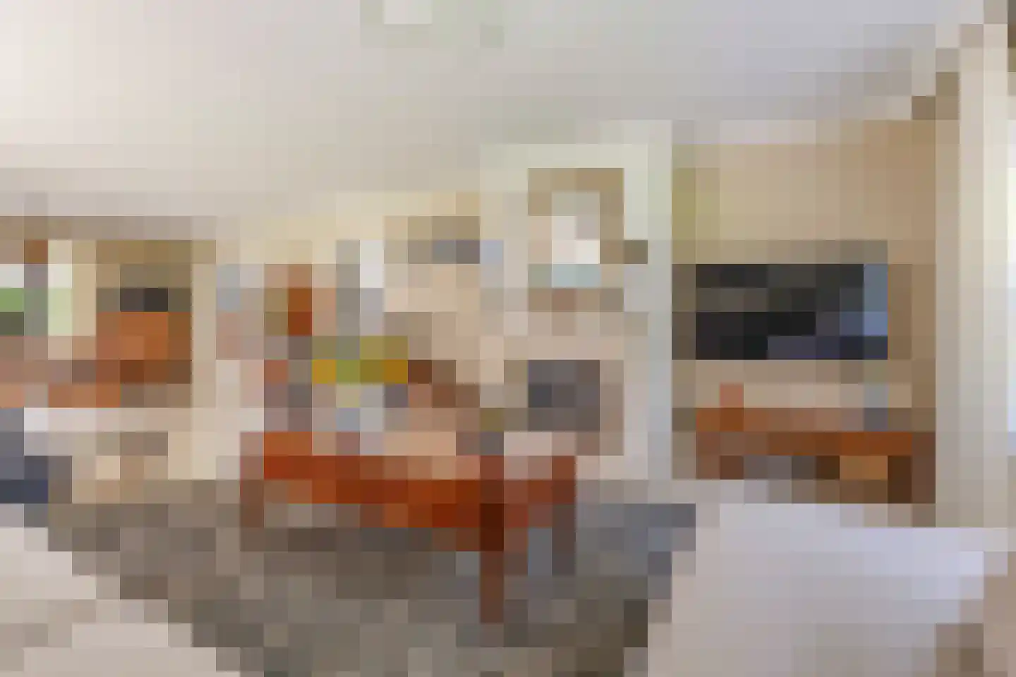 Julianalaan 55 Ermelo thumbnail 16