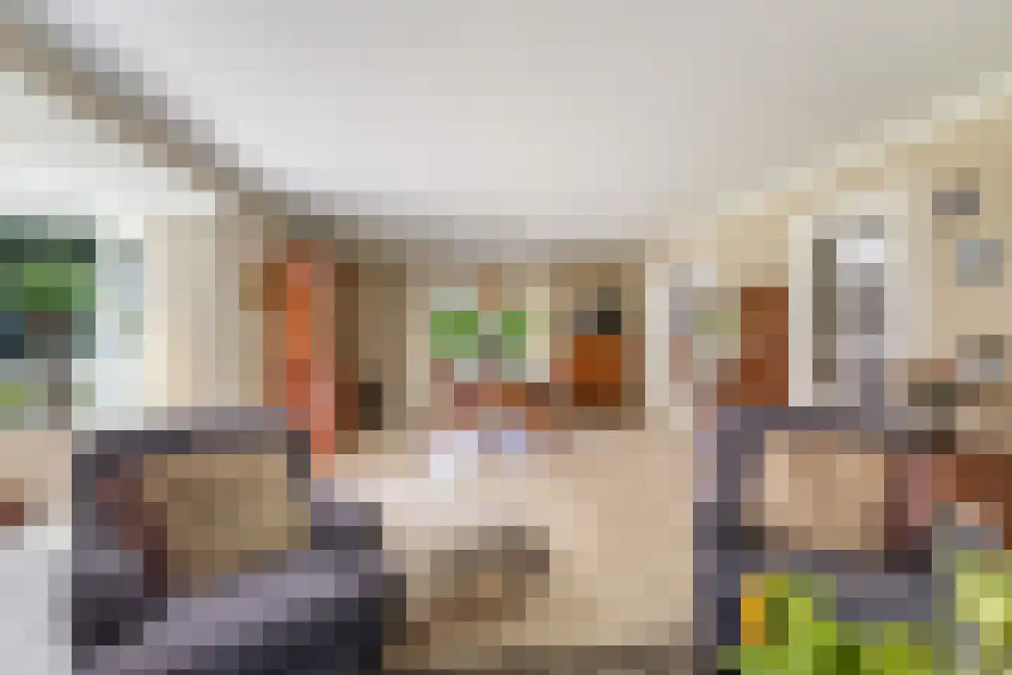 Julianalaan 55 Ermelo thumbnail 17