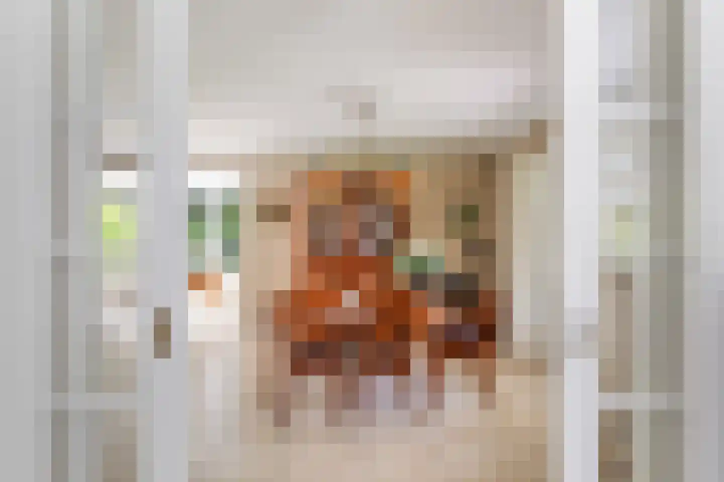 Julianalaan 55 Ermelo thumbnail 20
