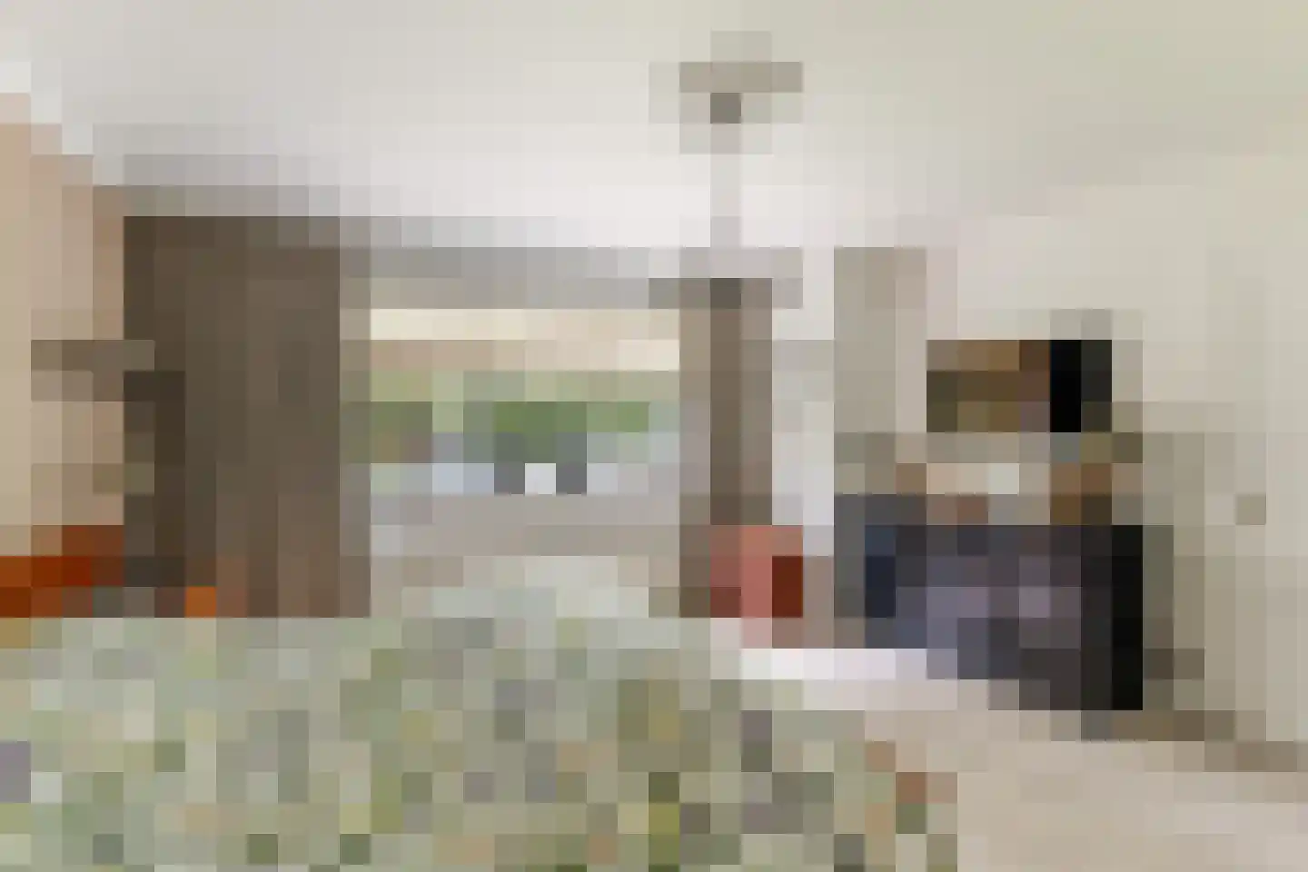Julianalaan 55 Ermelo thumbnail 29