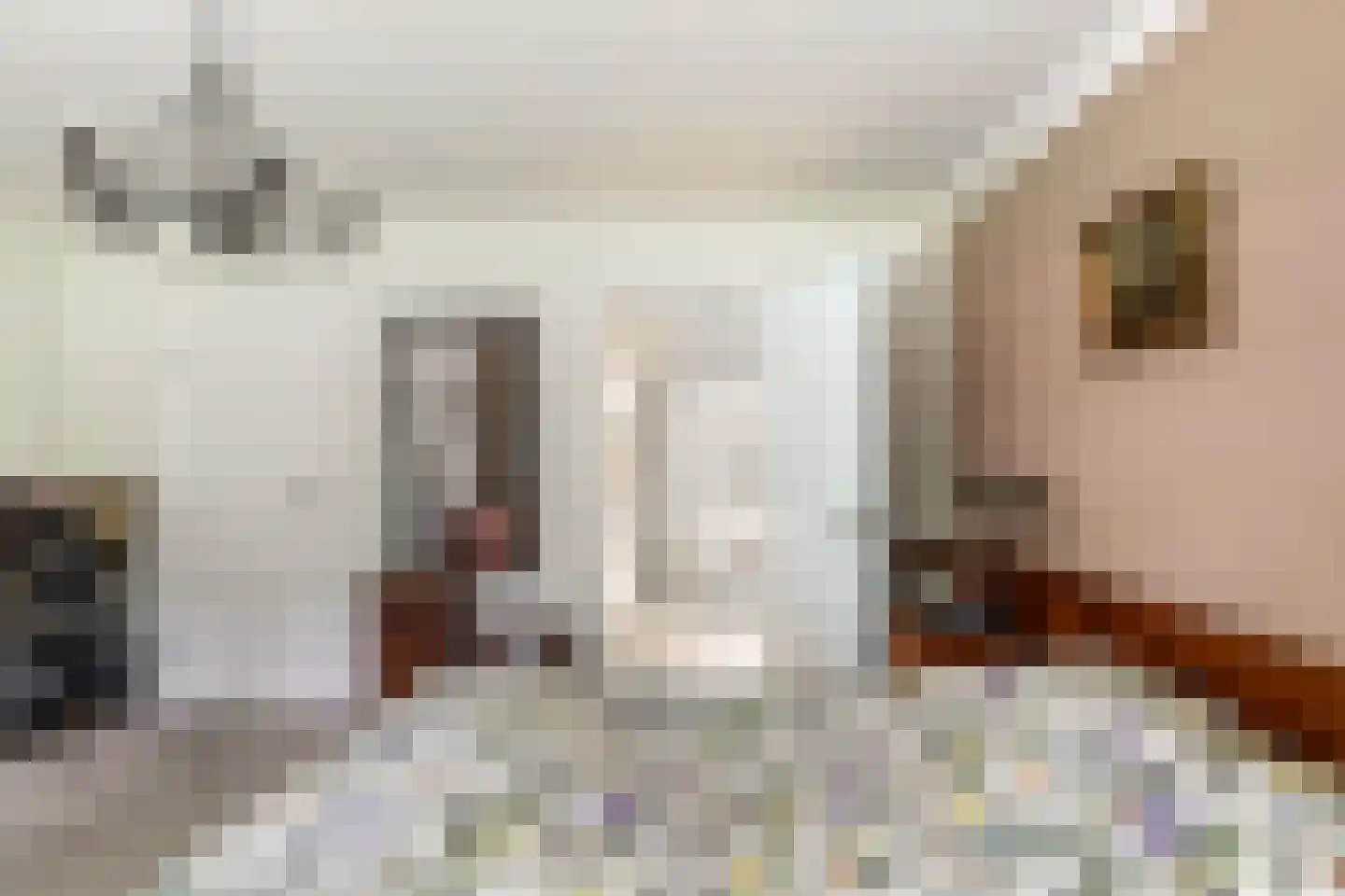 Julianalaan 55 Ermelo thumbnail 32