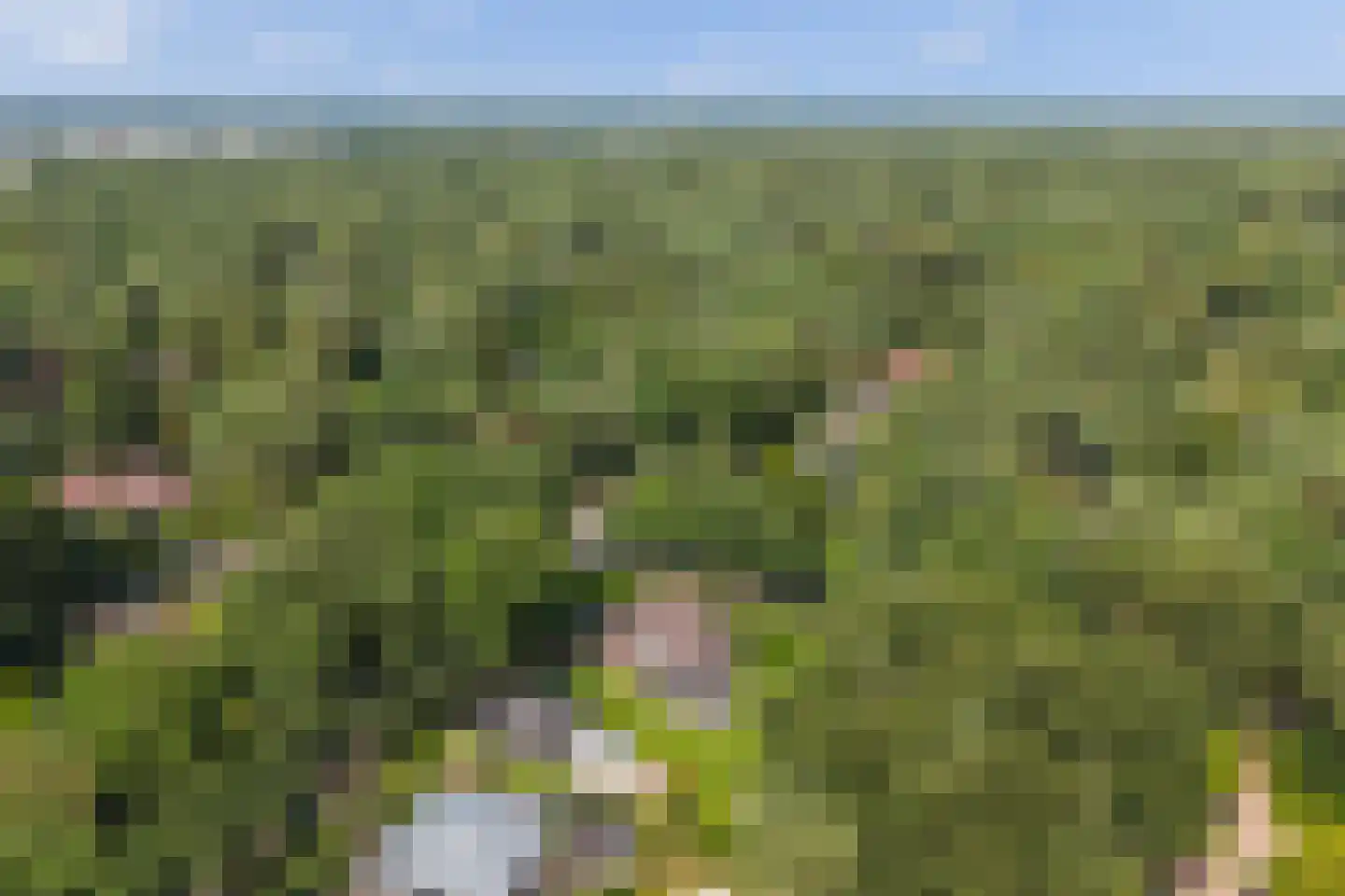 Julianalaan 55 Ermelo thumbnail 4